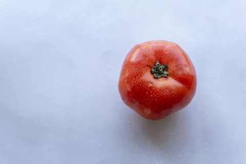Single Red Tomato with Dew Drops from Above Fresh Organic Food Photos
