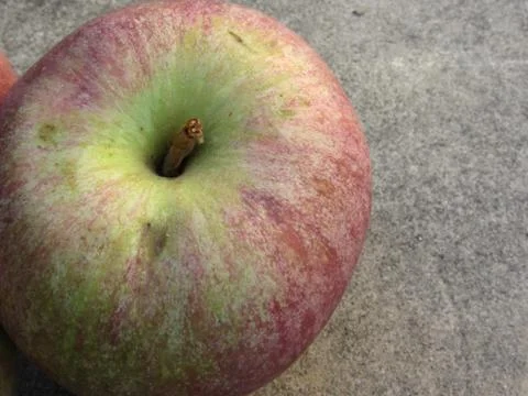 Single ripe apple Stock Photos