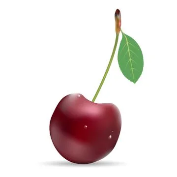 Single Ripe Cherry Berry With Leaf Isolated On A White Background. Stock Illustration