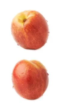 Single ripe nectarine isolated Stock Photos
