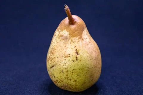 A single ripe pear, possibly a Bosc, stands against a dark blue background, s Stock Photos