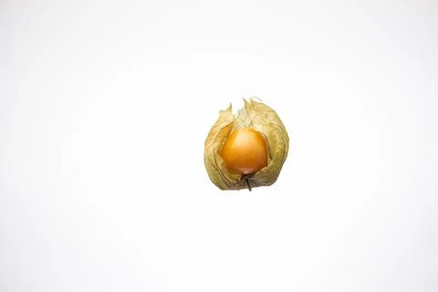 Single ripe physalis fruit. Close up studio shot, isolated on white backgroun Photos