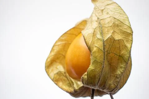 Single ripe physalis fruit. Close up studio shot, isolated on white backgroun Stock-Fotos