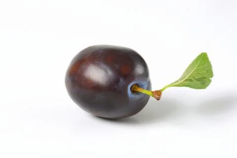 Single ripe plum Stock Photos