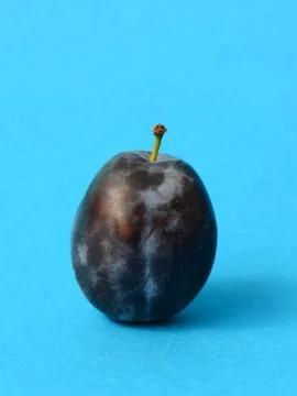Single ripe plum Stock Photos