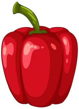 Single Ripe Red Bell Pepper Vector Illustration Isolated on White Stock Illustration