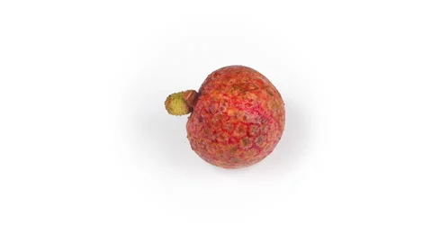 Single Ripe Red Lychee Fruit Rotating on Clean White Background Stock Footage 337326721