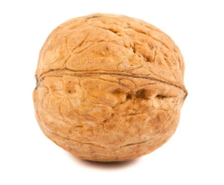 Single ripe walnut Stock Photos