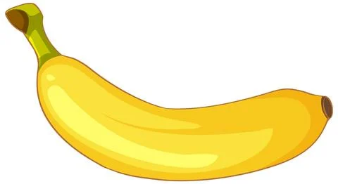 Single Ripe Yellow Banana Vector Illustration on White Background Stock Illustration