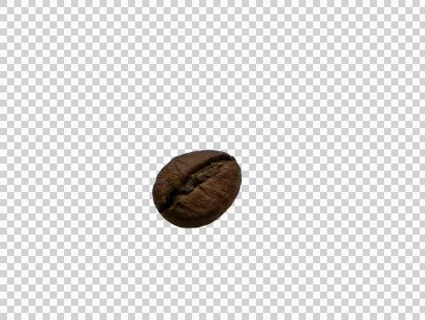 Single Roasted Coffee Bean Close-Up on White Background Macro Stock Photos