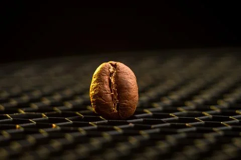 Single Roasted Coffee Bean on Dark Textured Surface Stock Photos