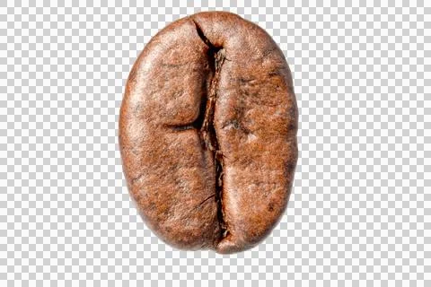 Single Roasted Coffee Bean Front View PNG 스톡 사진