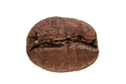 Single roasted coffee bean isolated on a white Stock Photos