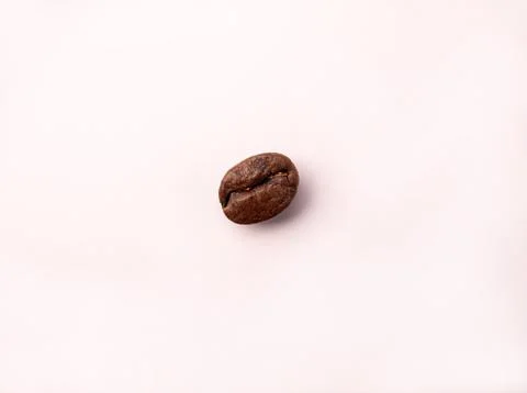 Single roasted coffee bean isolated on a light background Stock Photos