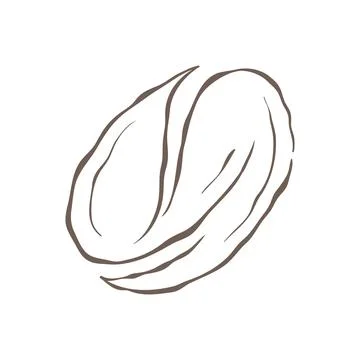 A Single Roasted Coffee Bean In A Stylized Sketch Style Vector Illustration Stock Illustration