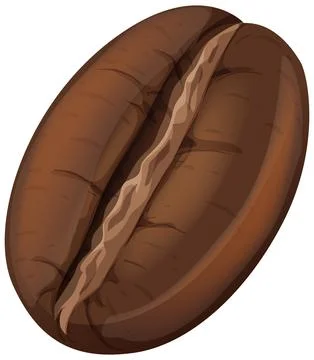 Single Roasted Coffee Bean Vector Illustration on White Background Stock Illustration