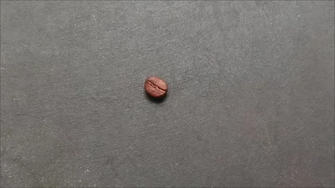 Single-roasted coffee beans, highlighting their texture and details Video stock 323579623