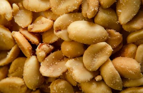 Single Roasted peanut isolated on backgorund Stock Photos