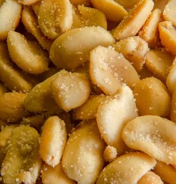 Single Roasted peanut isolated on backgorund Stock Photos