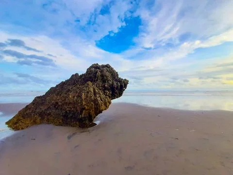 Single rock formation on a sand beach eroded to a sitting bird in profile ... Stock-Fotos