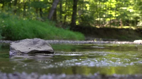 Single rock in slow moving stream Stock Footage 138787736