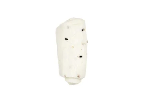 Single rolled white cheese piece isolated on white background Stock Photos