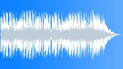 Single Romantic Acoustic Guitar 30 SecStock Music