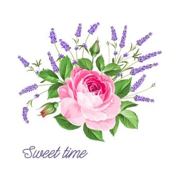 Single rose card Illustrazione stock