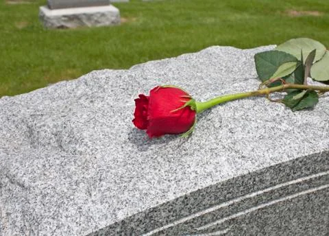 A single rose placed on a grave Fotos de archivo