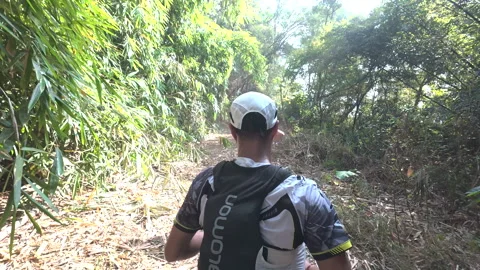 Single row of runners on a forest trail 库存影片 303871113