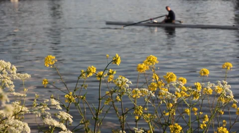Single Rowing Boat  Passing Through Frame From Bank Vídeo Stock 38107780