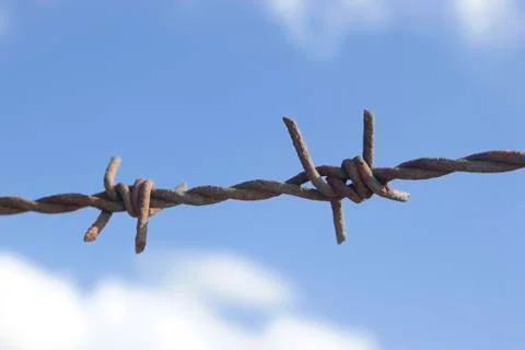 Single rusted barbwire Stock Photos