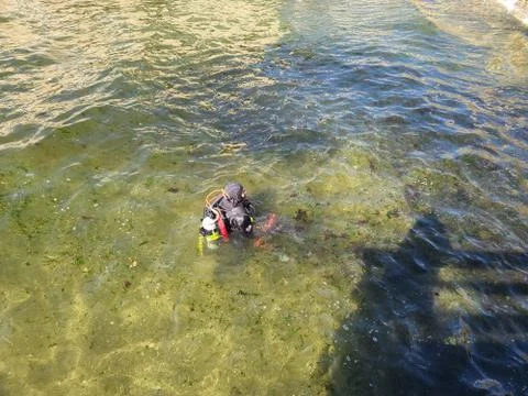 Single scuba diver Stock Photos