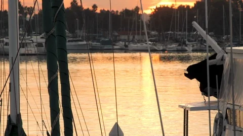 Single scull passing through California marina at dawn Stock Footage 87817246
