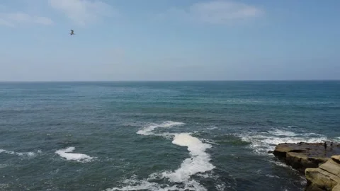 Single Seagull flying over ocean views in La Jolla, San Diego, 4k Footage Video stock 231456028