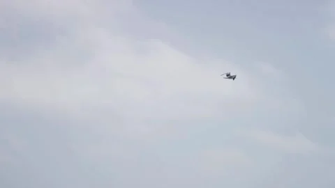 Single seagull flying through a cloudy grey sky alone Stock Footage 329816659