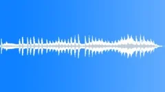 Single seagull Sound Effect
