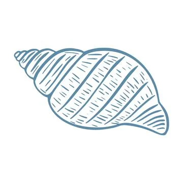 Single seashell isolated vector illustration Stock Illustration
