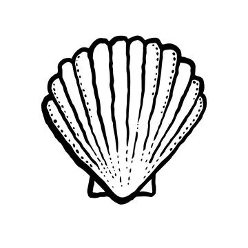 Single seashell, marine line hand drawn vector illustration on white background Stock Illustration