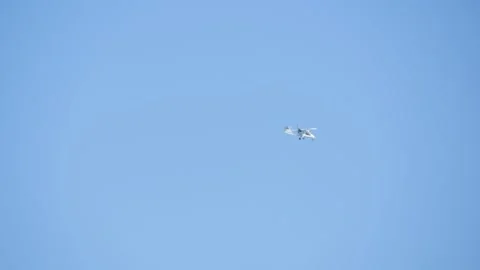 Single-seat aerobatic glider. Stock Footage 222644587