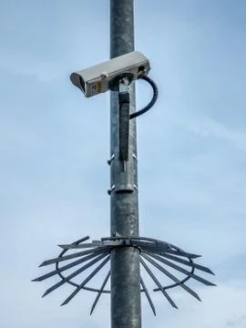 Single security camera on a pole Stock Photos