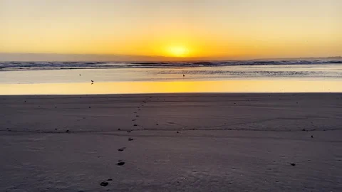 Single set of footprints on beach during sunset over ocean with gentle waves 스톡 동영상 331111159
