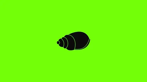 Single shell icon animation Stock Footage 157503867