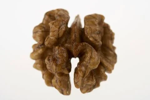 A single shelled walnut Foto stock