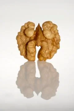 A single shelled walnut Stock Photos