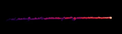 Single shot red Stock Footage 335346047