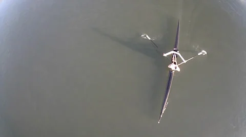 Single Skull Row Boat Sails on Water Below from Aerial View Video stock 37059550