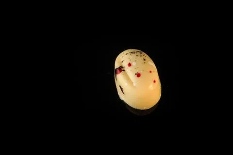 Single small oval-shaped white chocolate candy with decoration Stock Photos