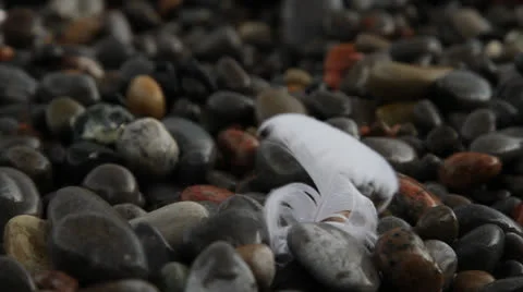 Single small white feather on stone beach, hit by waves and wind. HD1080p 24fps. Stock Footage 22732414