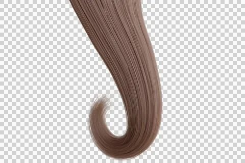 A single, smooth lock of lustrous ash-brown hair gracefully curls Illustrazione stock
